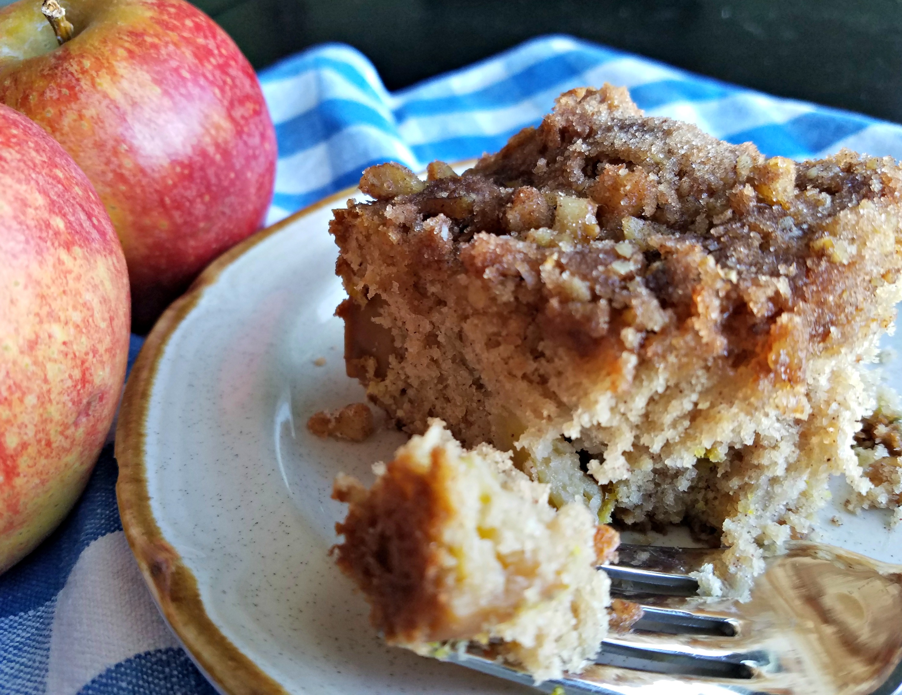 Roman Apple Cake And Autumn A Match Made In Heaven Meemaw Eats